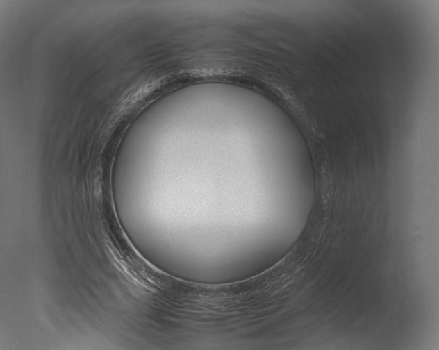 X0000077330631200610200916