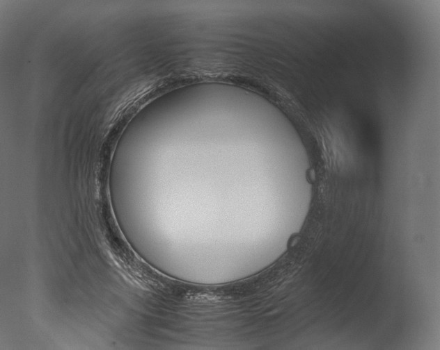 X0000077330635200610200916