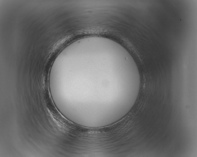 X0000077330636200610200916