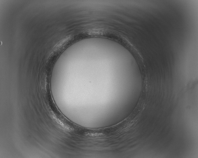 X0000077330637200610200916