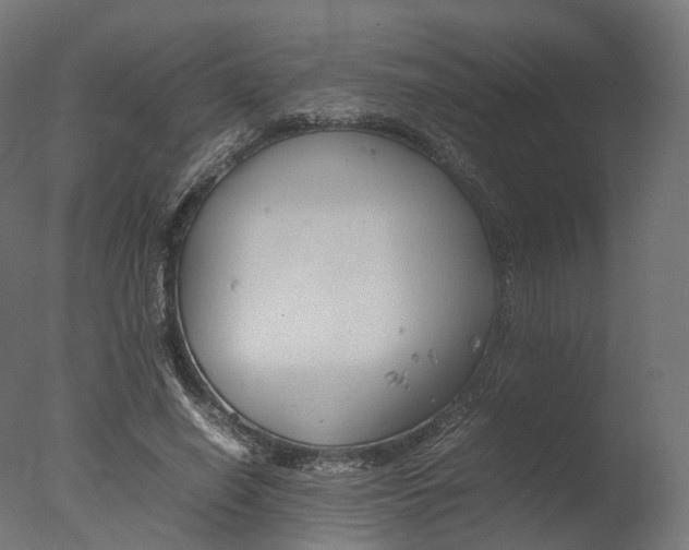 X0000077330638200610200916