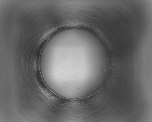 X0000077330640200610200916