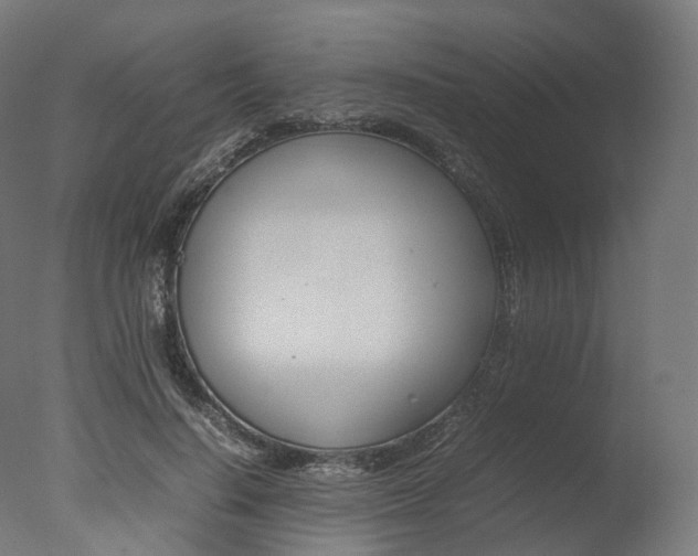 X0000077330644200610200916