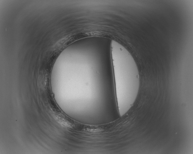 X0000077330645200610200916
