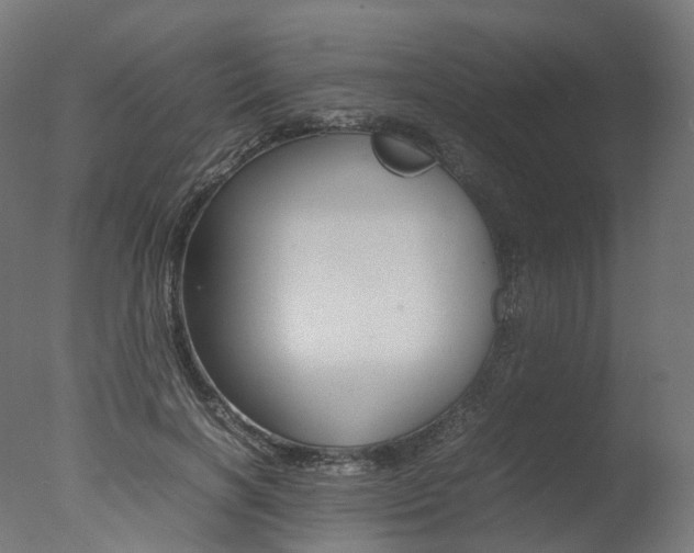 X0000077330646200610200916