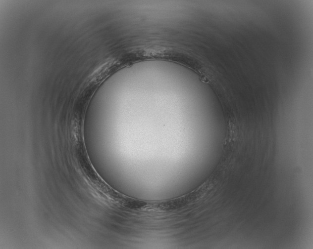 X0000077330648200610200916