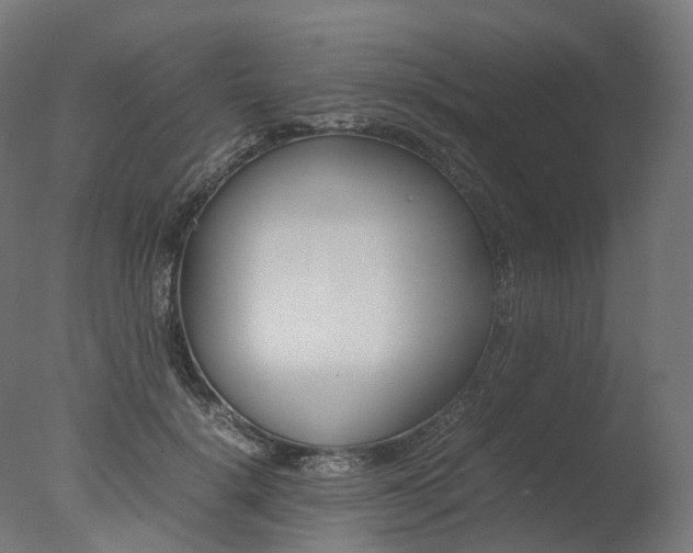 X0000077330652200610200916