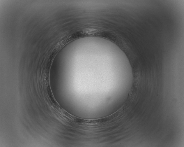 X0000077330653200610200916