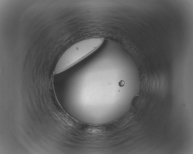 X0000077330655200610200916