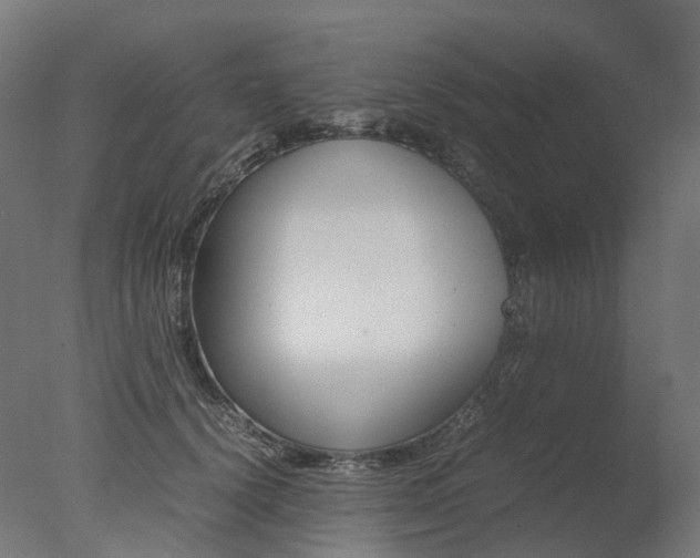 X0000077330656200610200916