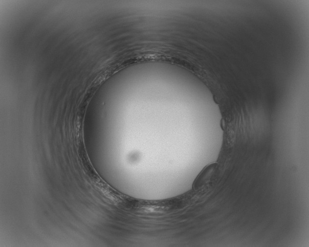 X0000077330657200610200916