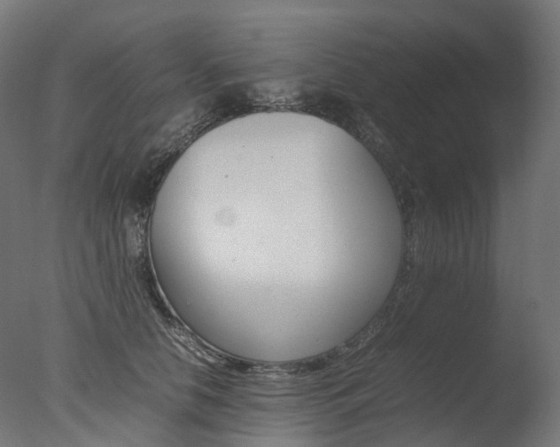 X0000077330658200610200916