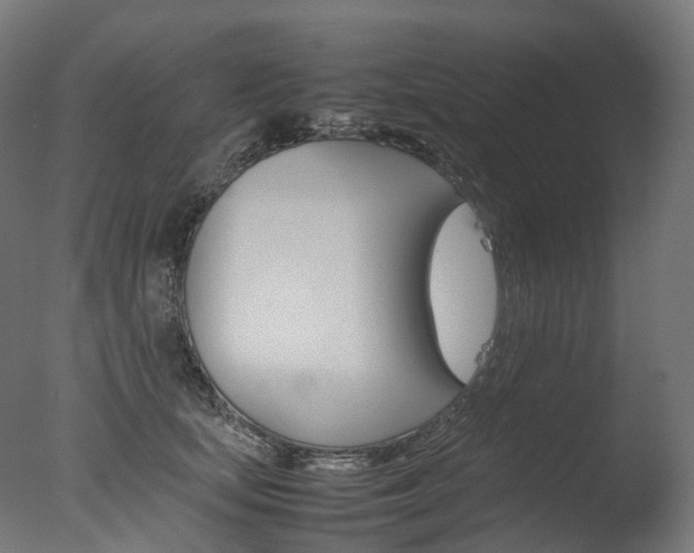 X0000077330659200610200916