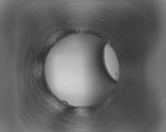 X0000077330660200610200916