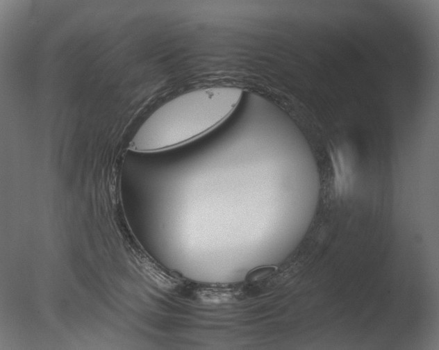 X0000077330661200610200916