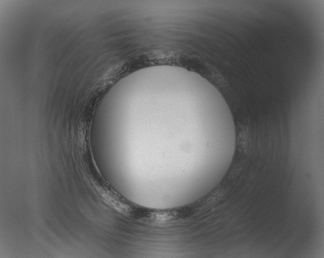 X0000077330662200610200916