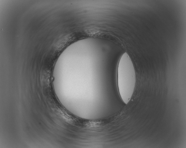 X0000077330664200610200916