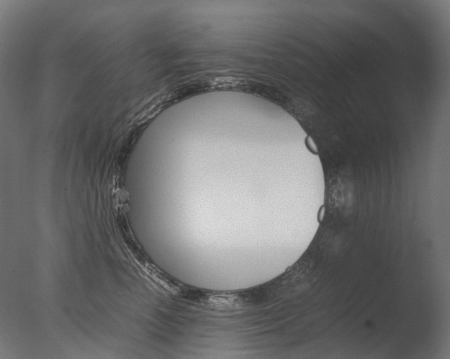 X0000077330666200610200916