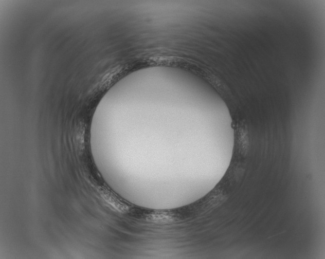 X0000077330668200610200916