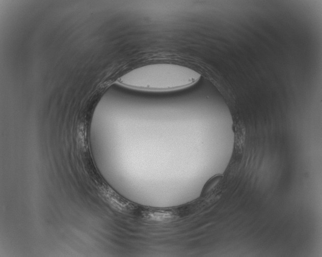 X0000077330669200610200916