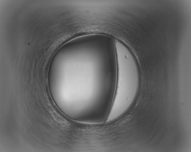 X0000077330673200610200915