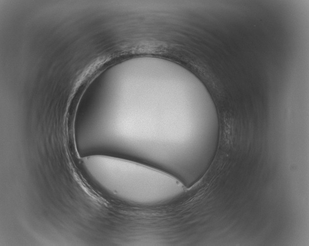X0000077330678200610200915