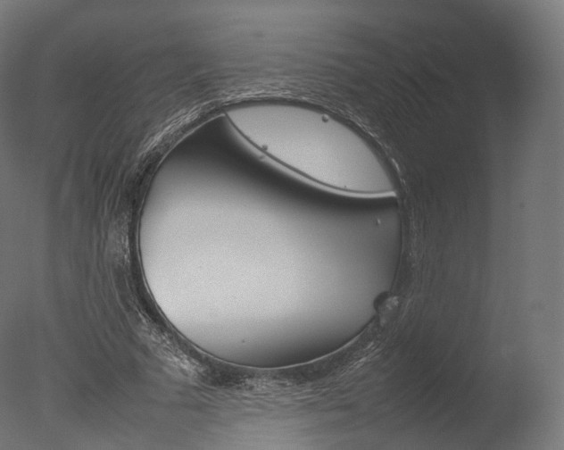 X0000077330681200610200915