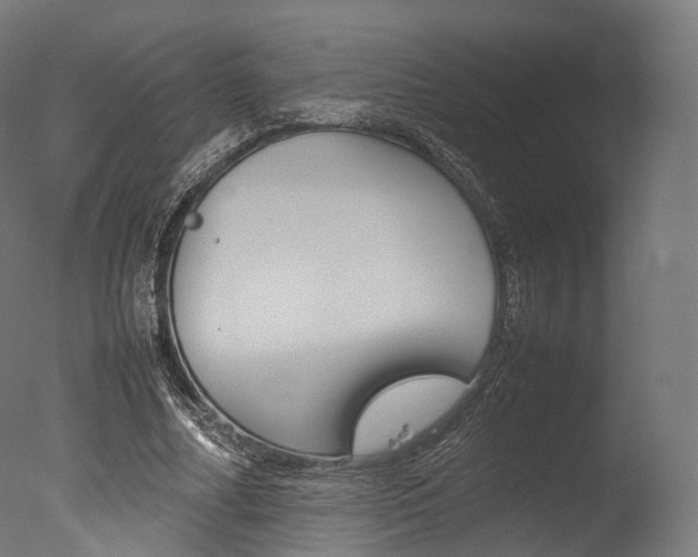 X0000077330682200610200915