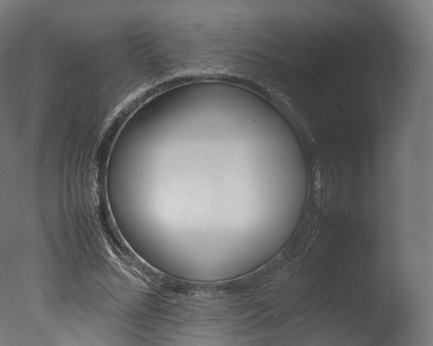 X0000077330684200610200915