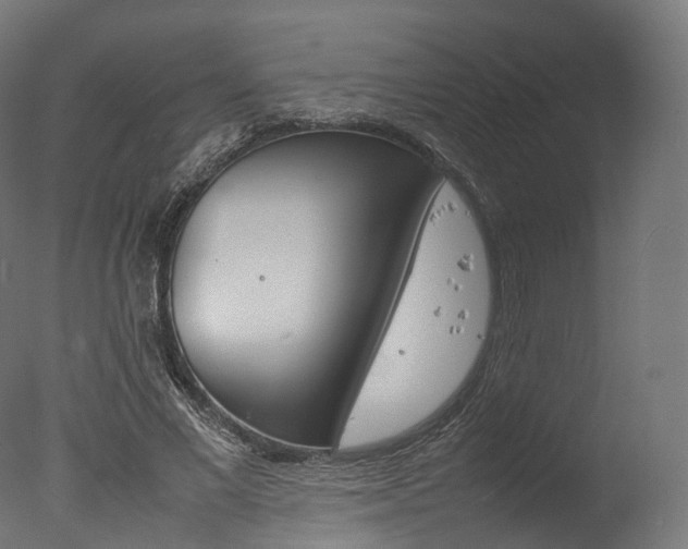 X0000077330685200610200915