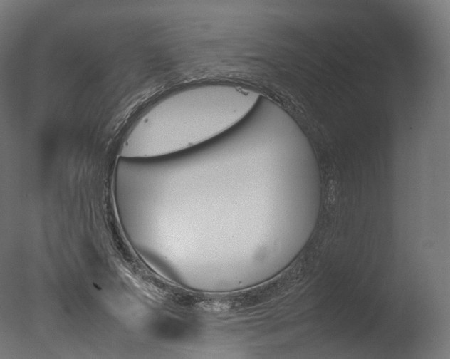 X0000077330687200610200915