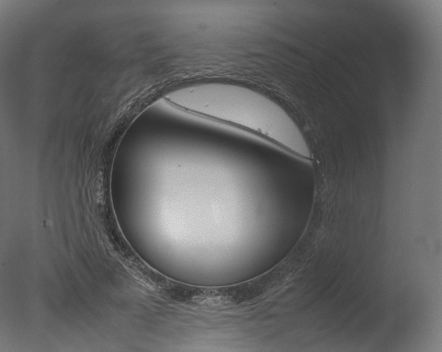 X0000077330689200610200915