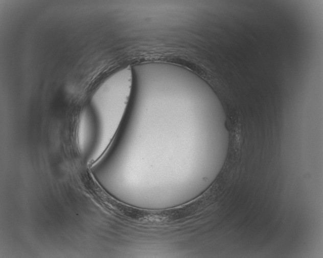 X0000077330691200610200915