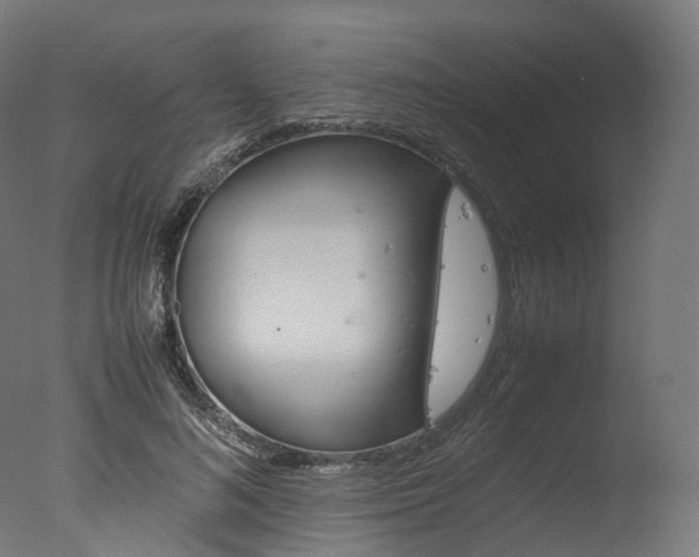 X0000077330692200610200915