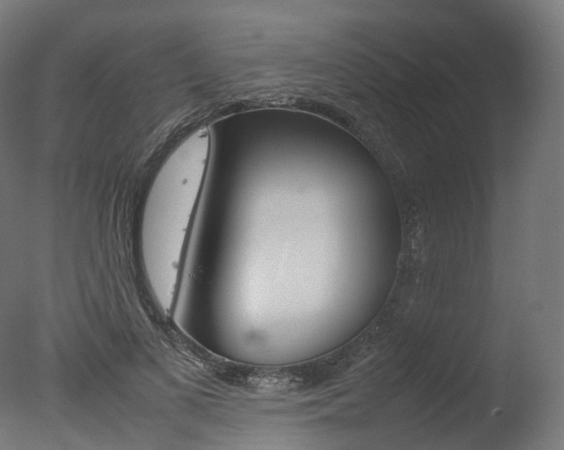 X0000077330693200610200915