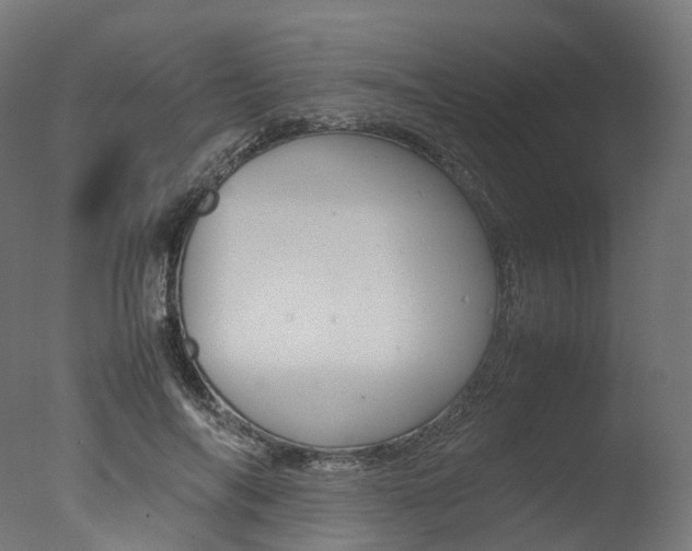 X0000077330694200610200915