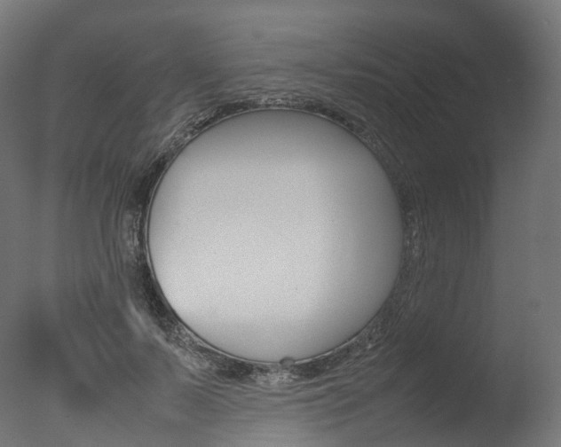 X0000077330695200610200915