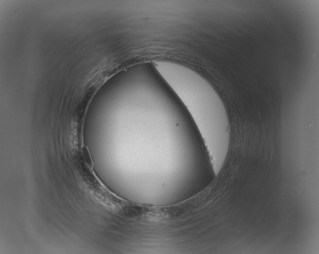 X0000077330696200610200915