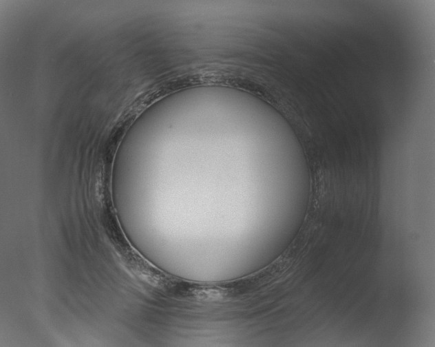X0000077330698200610200915