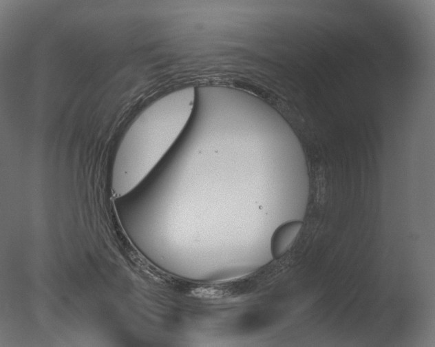 X0000077330699200610200915