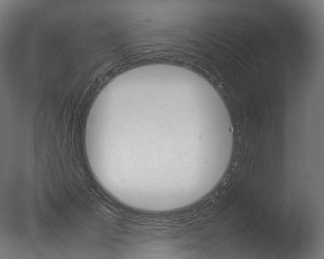 X0000077330701200610200915