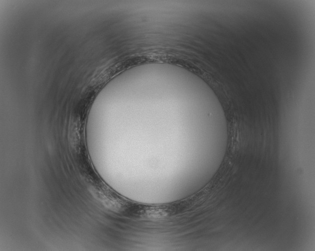 X0000077330702200610200915