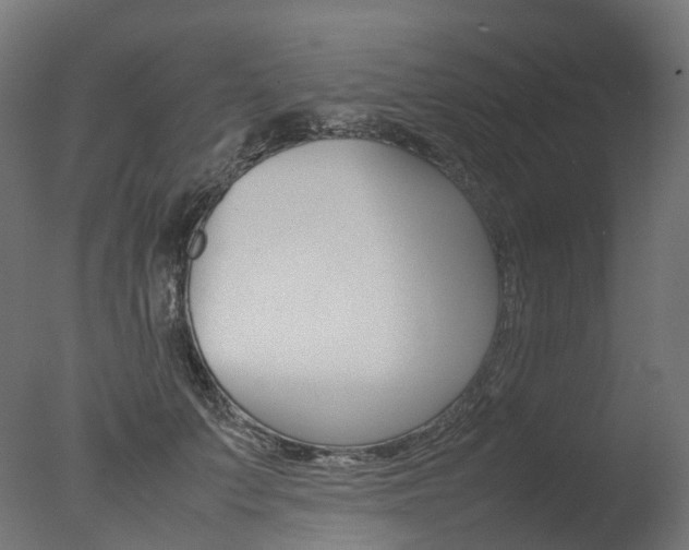 X0000077330703200610200915