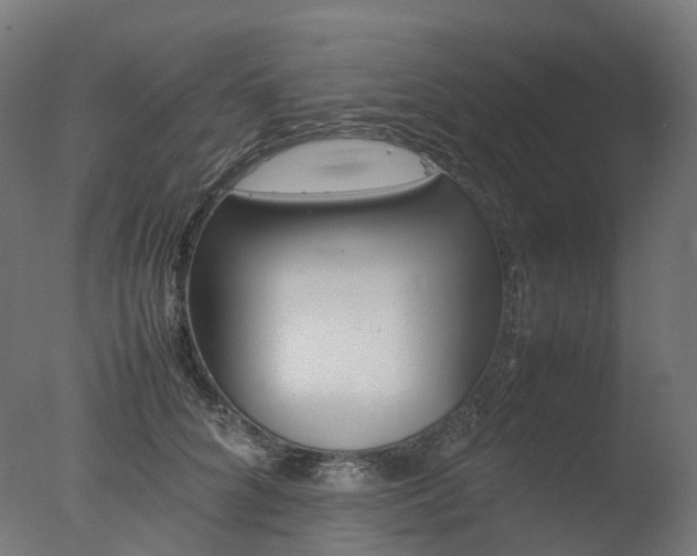 X0000077330704200610200915