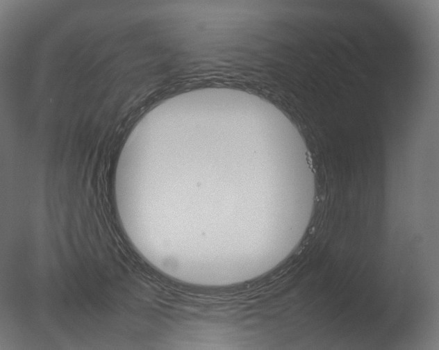 X0000077330705200610200915