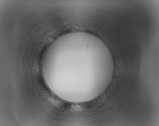X0000077330706200610200915