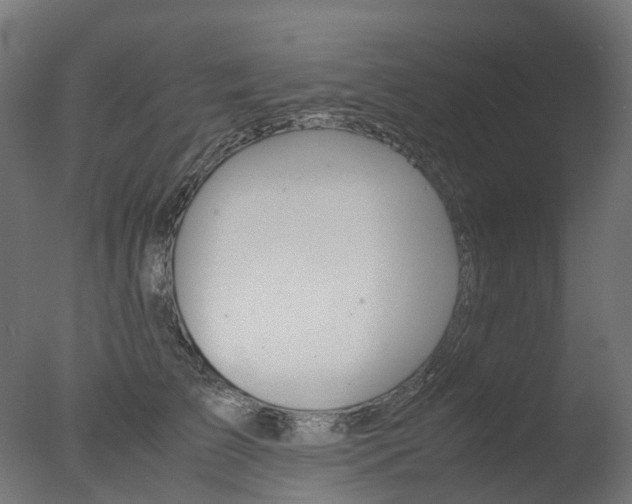 X0000077330709200610200915