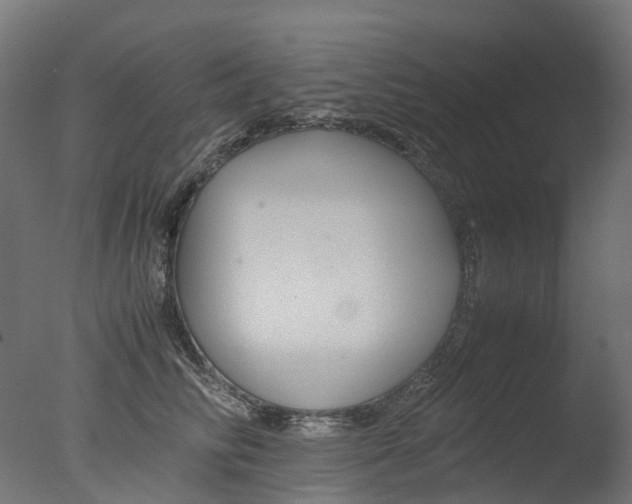 X0000077330710200610200915