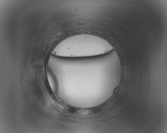 X0000077330711200610200915