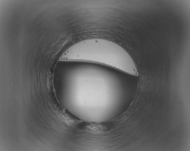 X0000077330712200610200915